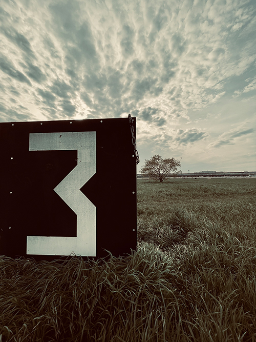 Three & Tree
